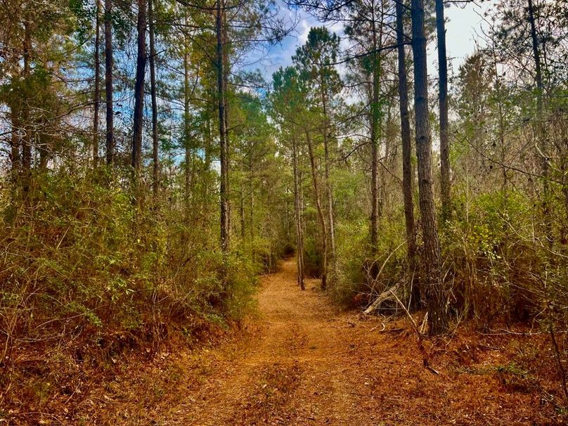 4DB81A10-DCD7-4D89-A9D5-B4EE7E27B358_1_201_a