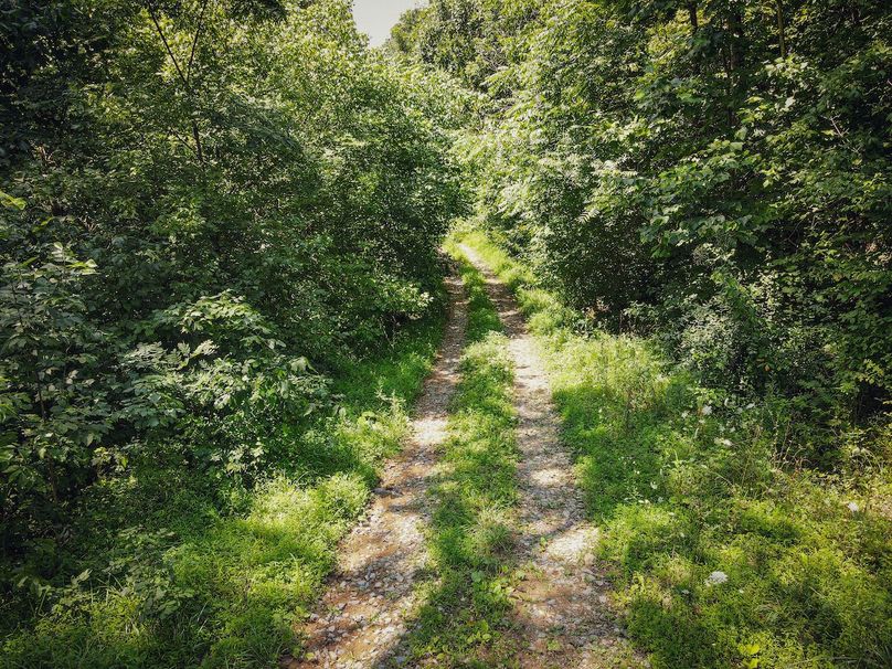 dji_fly_20230808_142420_962_1691519070807_photo