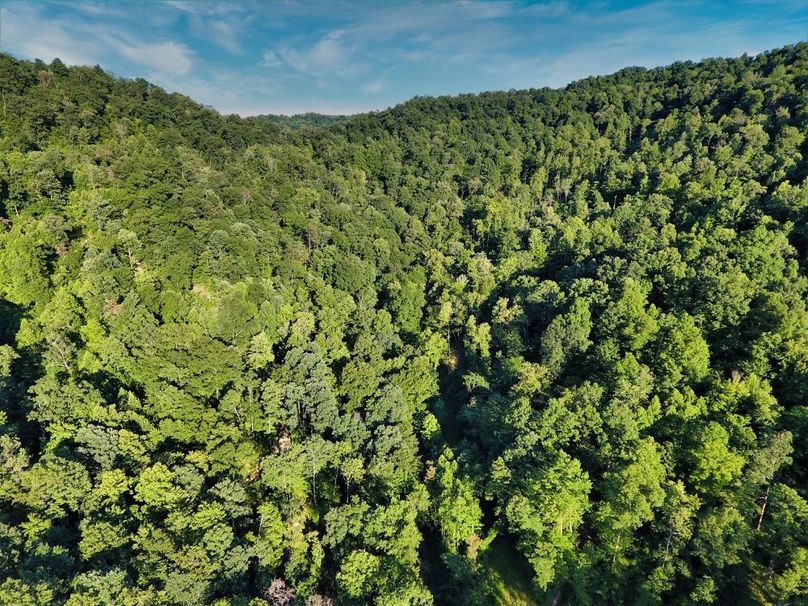 007 drone shot from the eastern area of the property looking east through the saddle-2