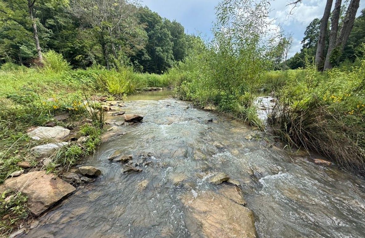 001 the main stream in the north part of the valley
