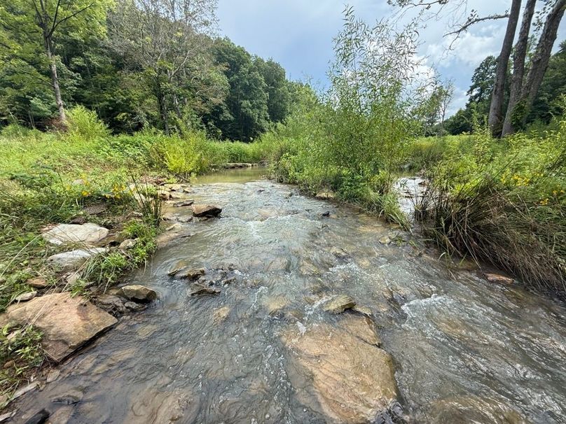 001 the main stream in the north part of the valley
