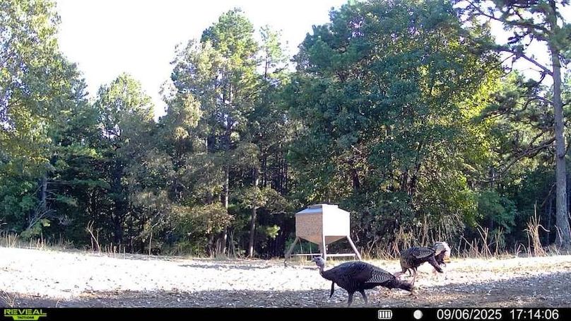 016578004181175-100-4-09062025171406-SYFW00044