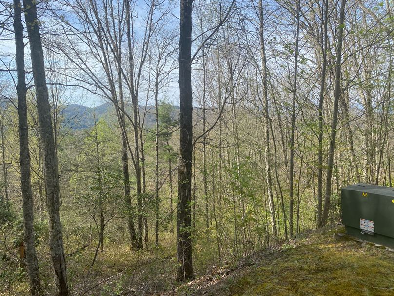 Jackson 2.19 Mansmith-03