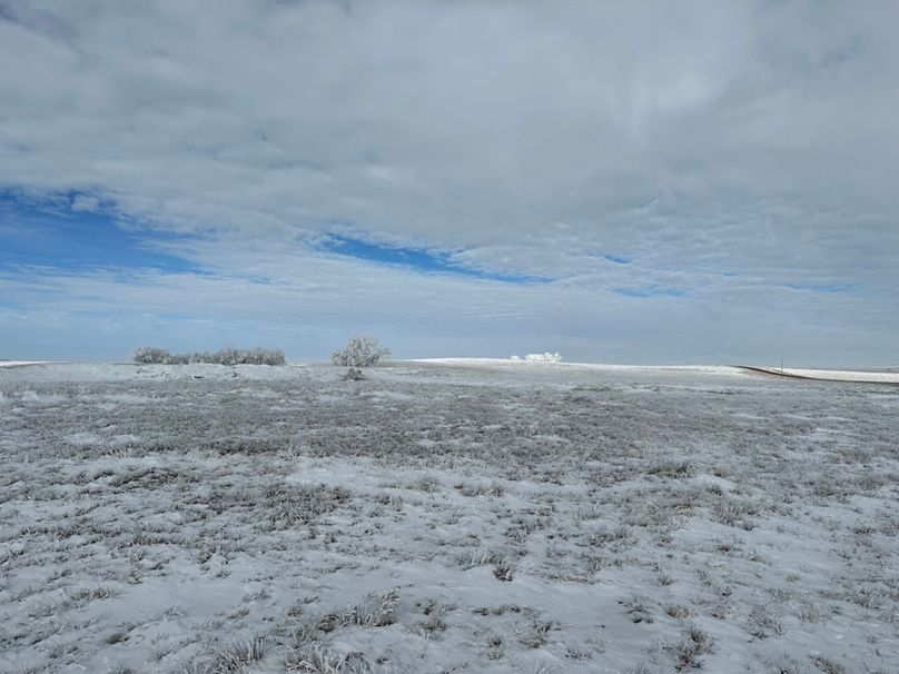 A456779A-9010-4370-ACBC-CA187FF316A1_1_105_c