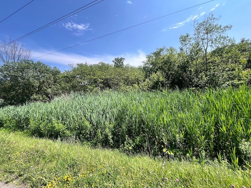 Oswego_13.95_Moore_Bush_Photos_31