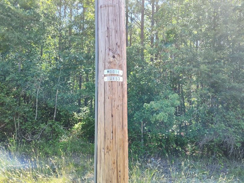 IMG_20250524_121005486