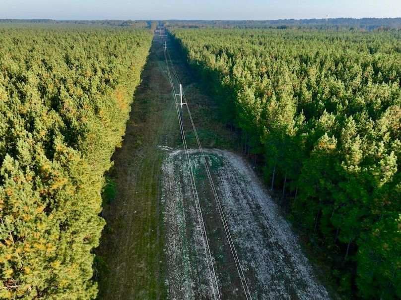 514031F6-2DEB-4DBA-81B1-D119B44EDCFE_1_201_a