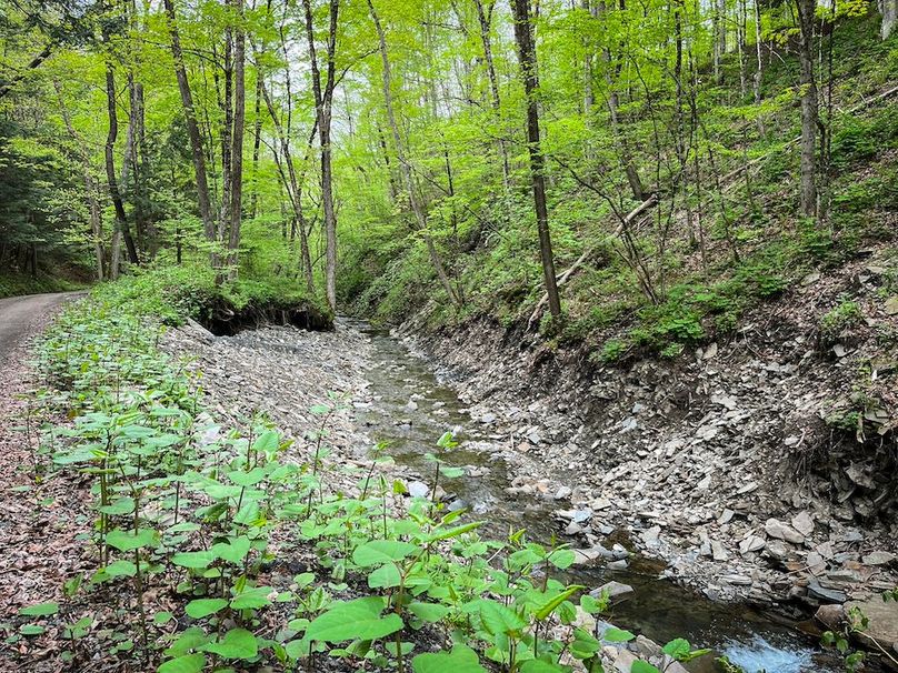 Tioga_78_Biada_Photos_13