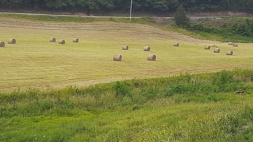 081 ready for cold weather feeding now-2