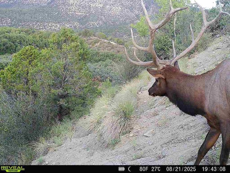 860516060007964-100-2-08212025194308-V-W1004063