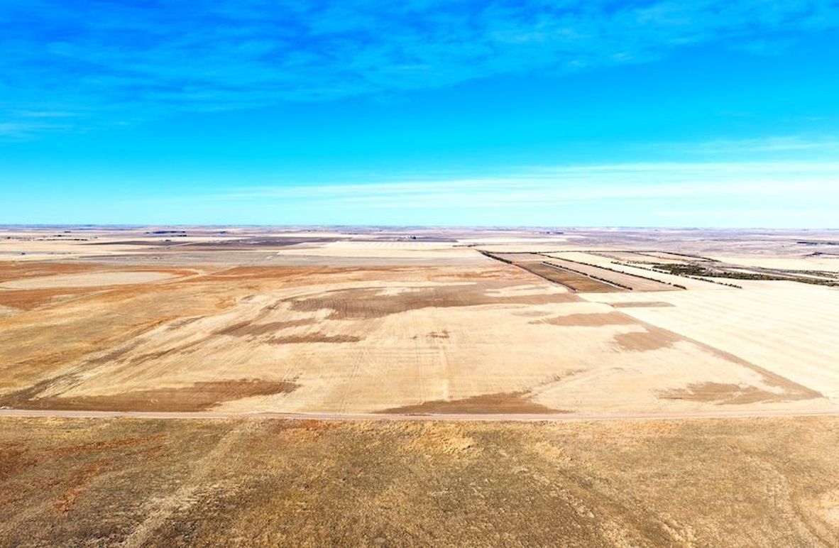 DJI_20250223093556_0006_D-HDR