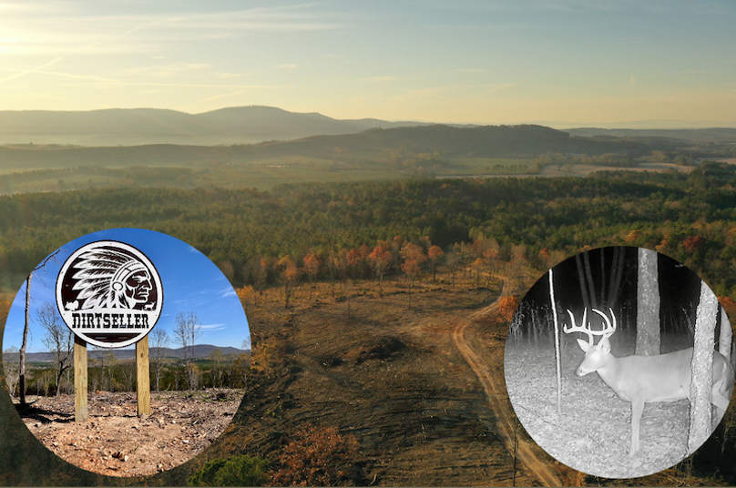 Cherokee 255 Nabisko Main Shot