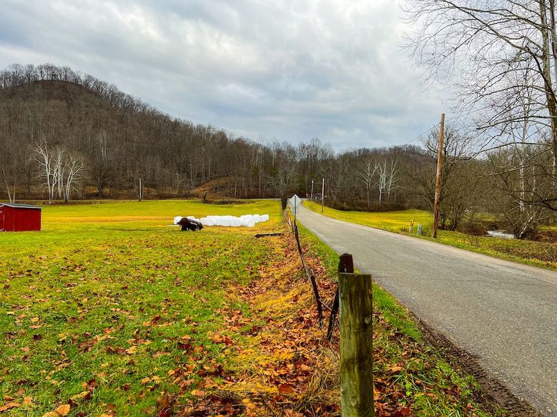 Calhoun, WV 225.69 AC Duffield-02