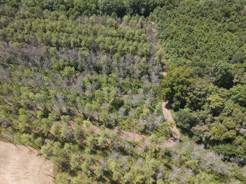 dji_fly_20240825_142248_271_1724613785437_photo