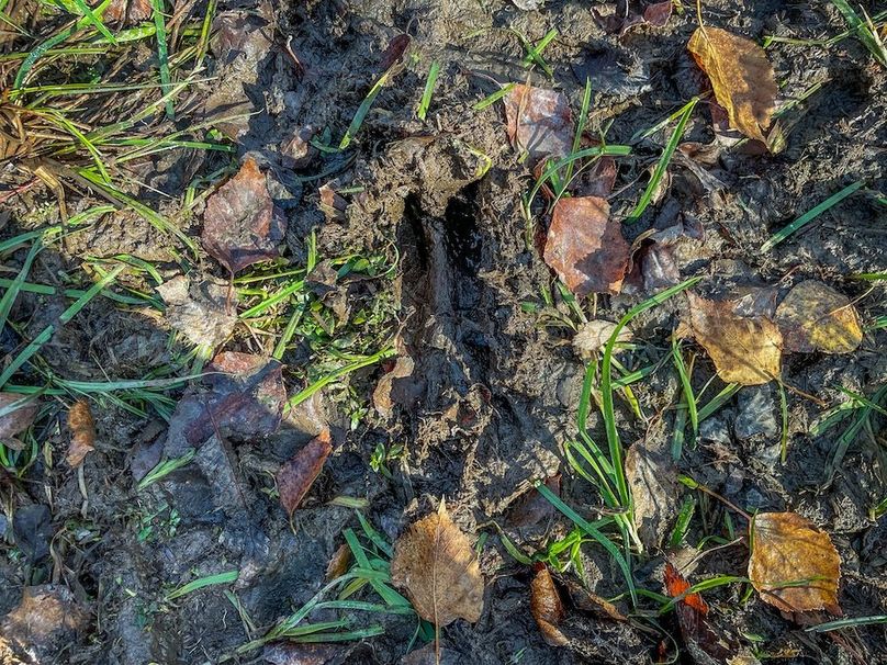 Clark 24.75 Winkel -32