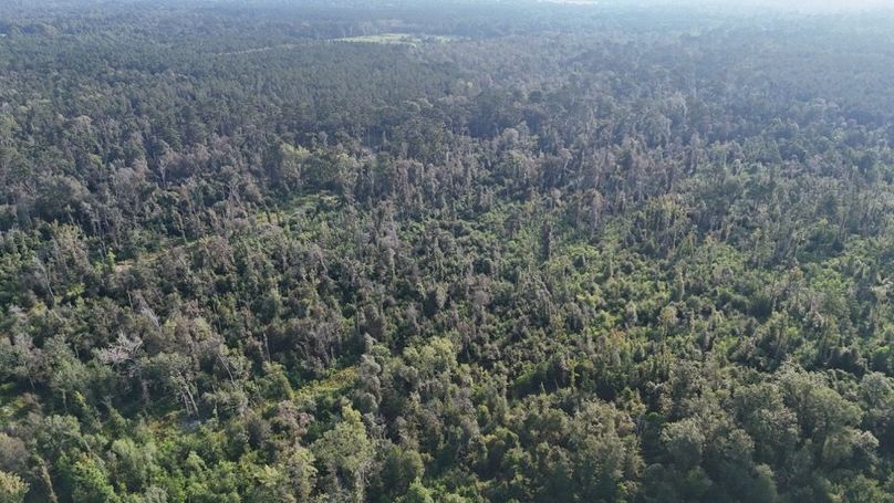 dji_fly_20250903_215836_0019_1756926955941_photo