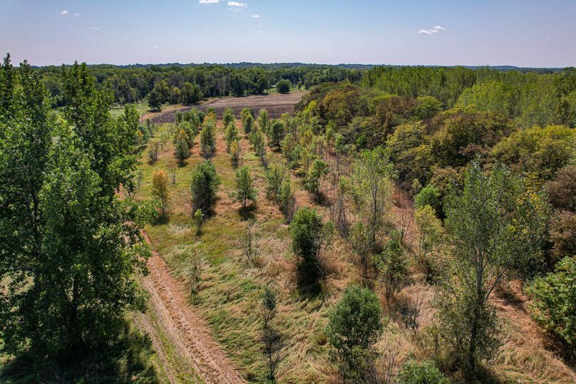 DJI_0208