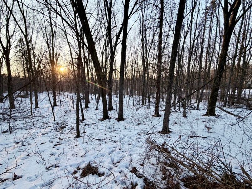Timber east end looking west
