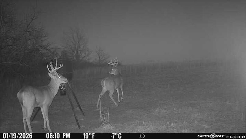 Trail Cam 11
