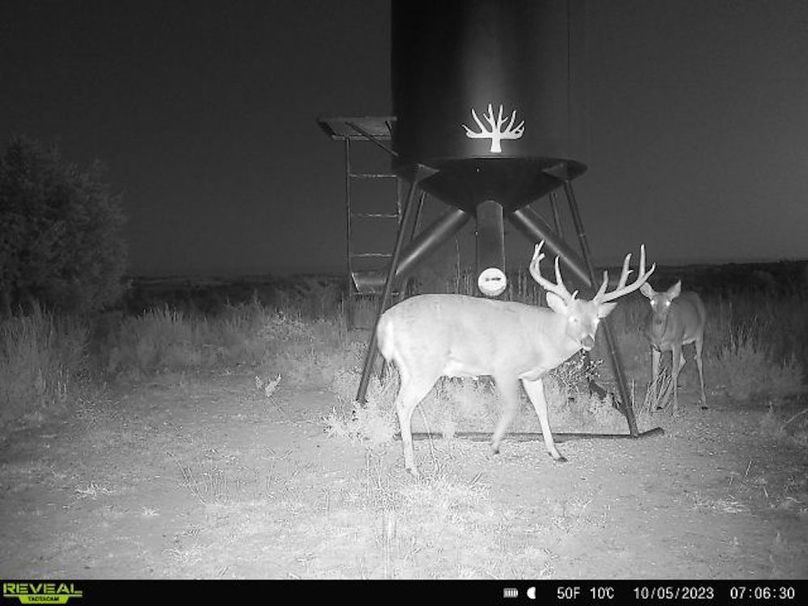 6.Copy of Copy of 864049057726376-100-4-10052023070630-W1041185