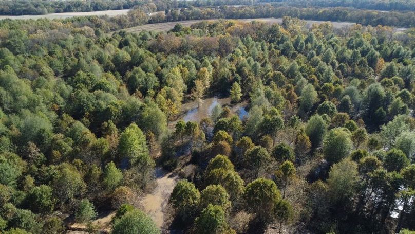 1a1 jeff 8320251111_0236