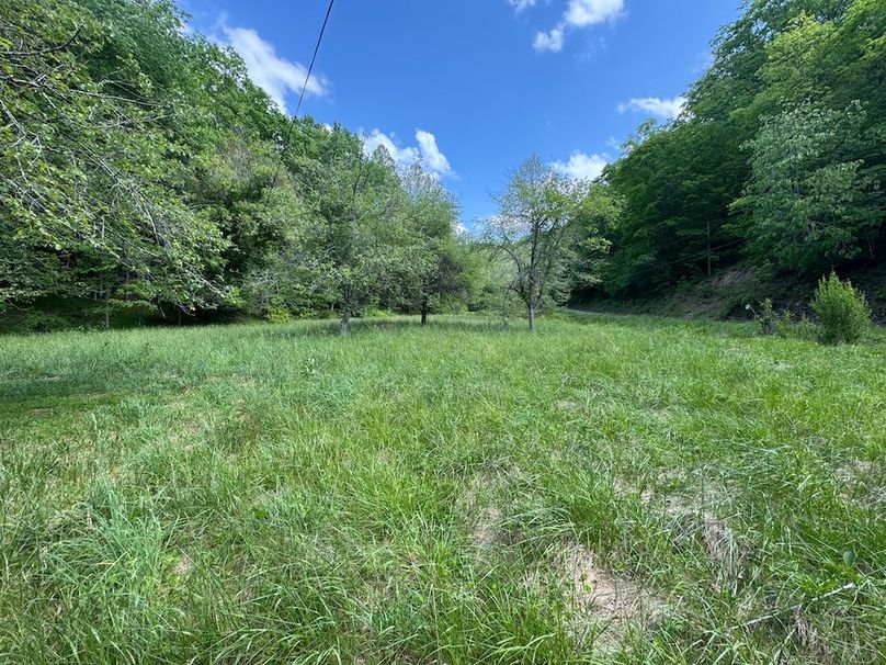 Calhoun, WV 29 AC Minney-14
