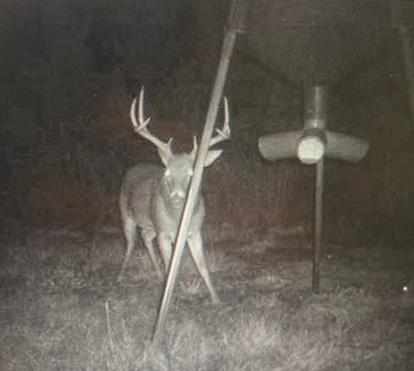 36