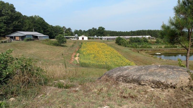 IMG_20170721_094032168