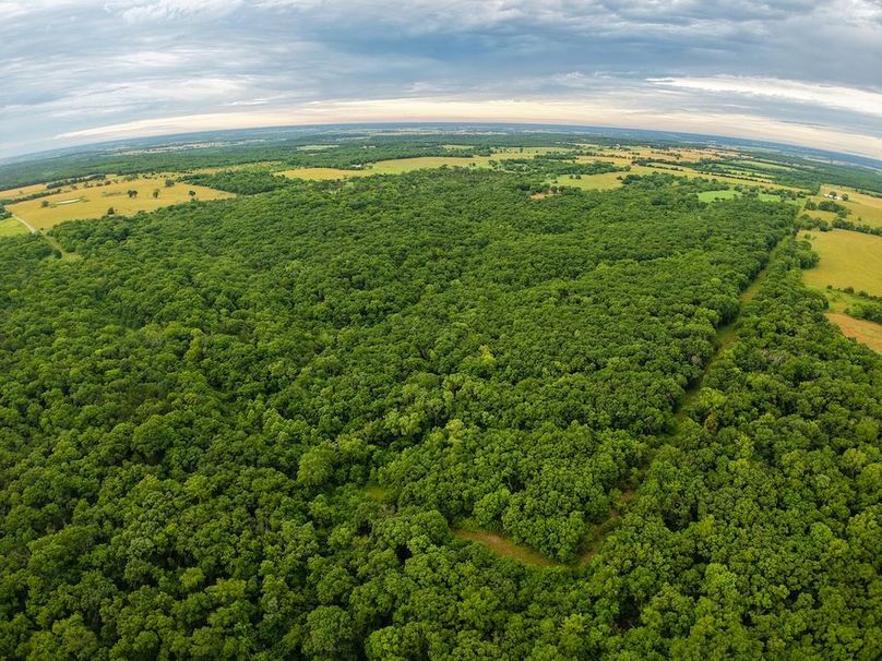 DJI_20250630064139_0258_D