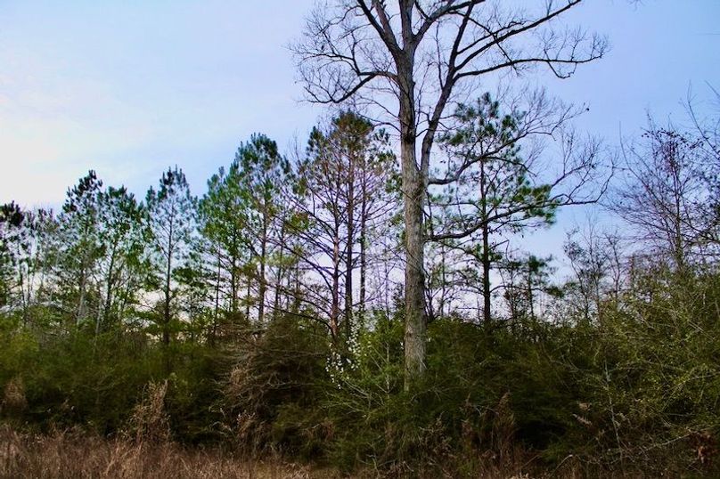 D59726C5-E240-4E5B-9E70-12F576CFFA8C_1_105_c