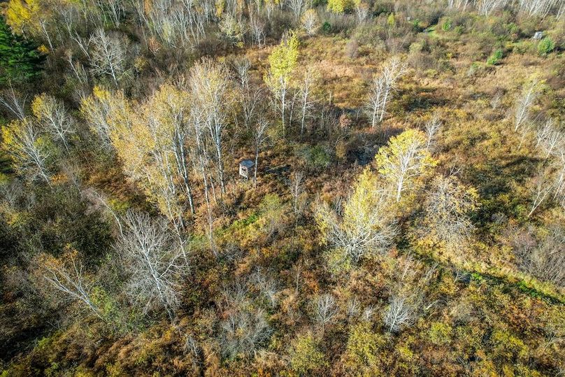 Clark 24.75 Winkel -47