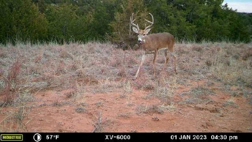 image638376236029568433