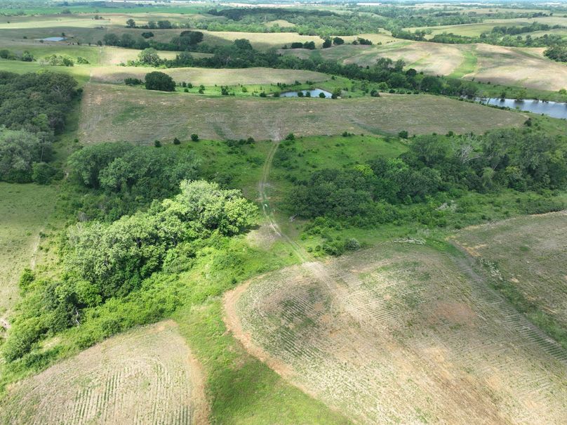 dji_fly_20230625_114520_454_1687717408664_photo