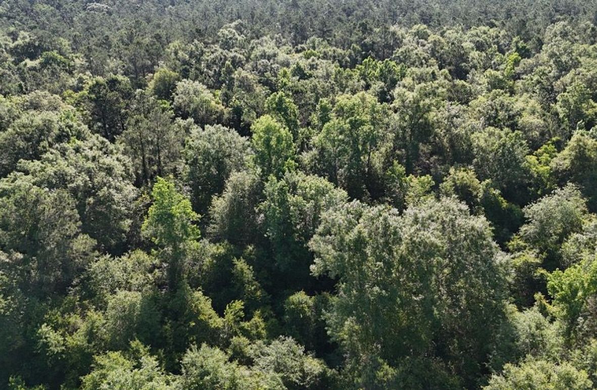 dji_fly_20260512_091224_0157_1778611345029_photo