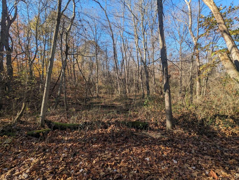 PXL_20231103_151819743