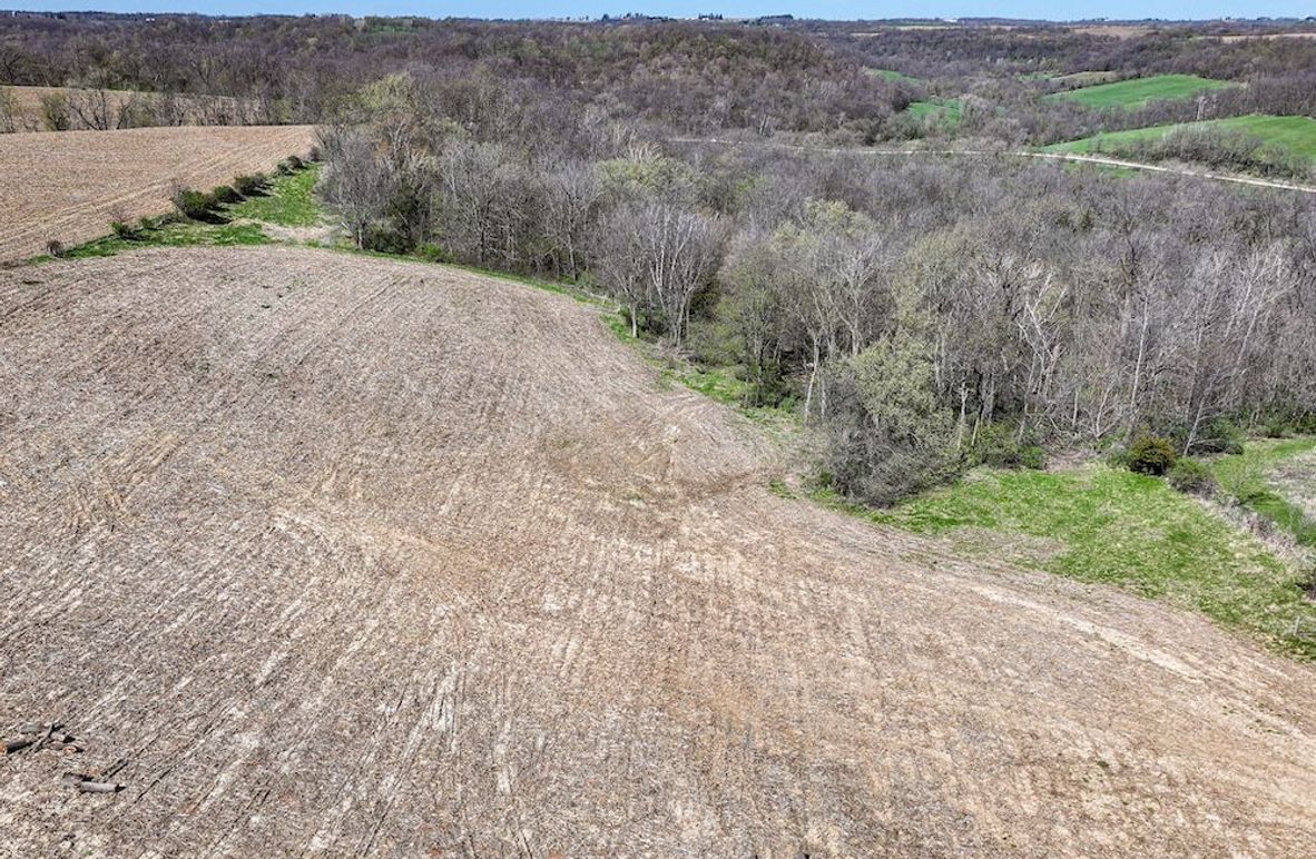 Strawberry Point- WTP-08