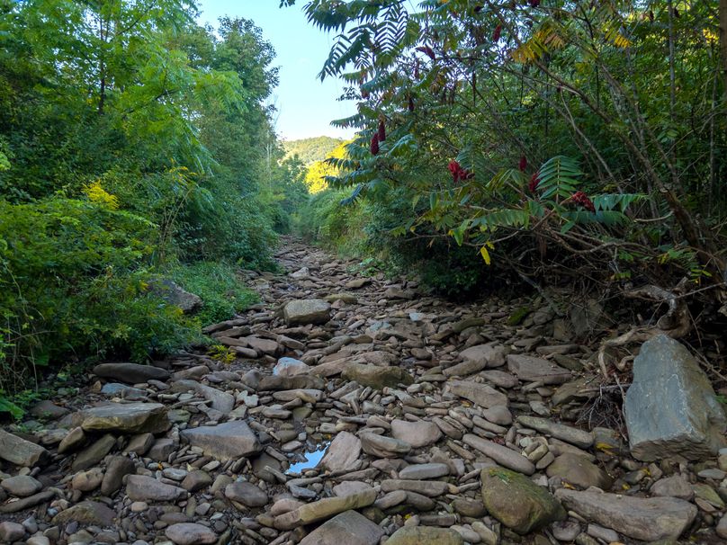 04_36.85_Pocahontas_WV