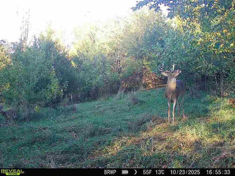 860322065924133-100-4-10232025165532-W1000017