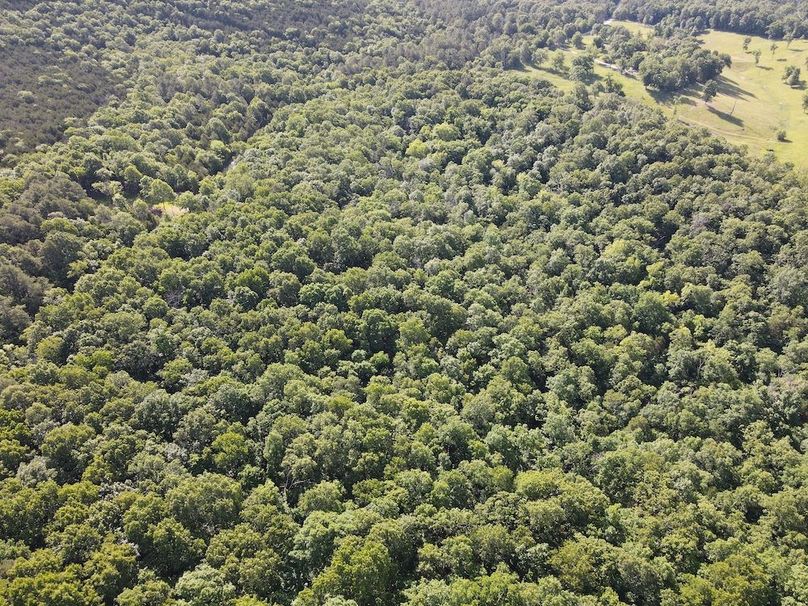 dji_fly_20260514_092704_775_1778769003249_photo