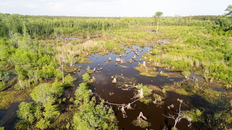 Carolina Homestead Horry-02