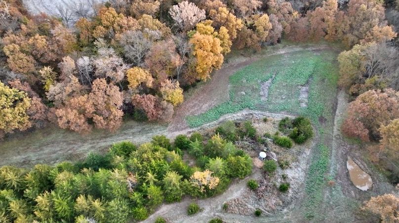 Screenshot 2025-11-20 at 10.05.07 AM