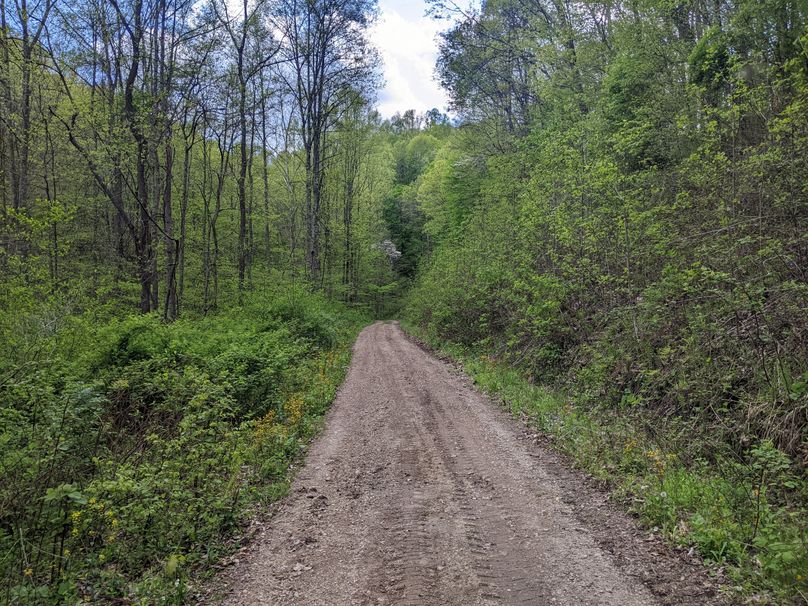 PXL_20230504_214718614