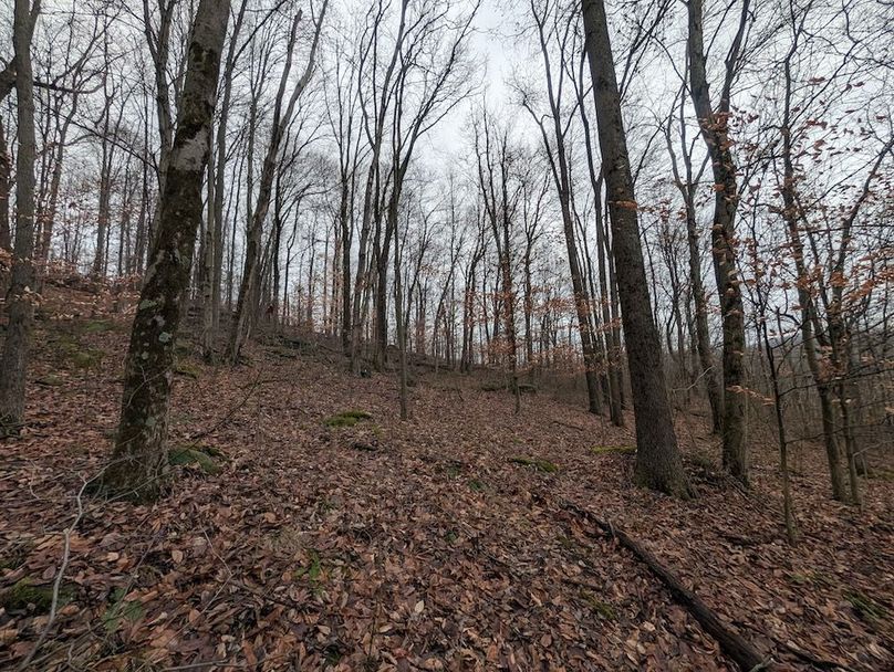 PXL_20260107_170101659.MP