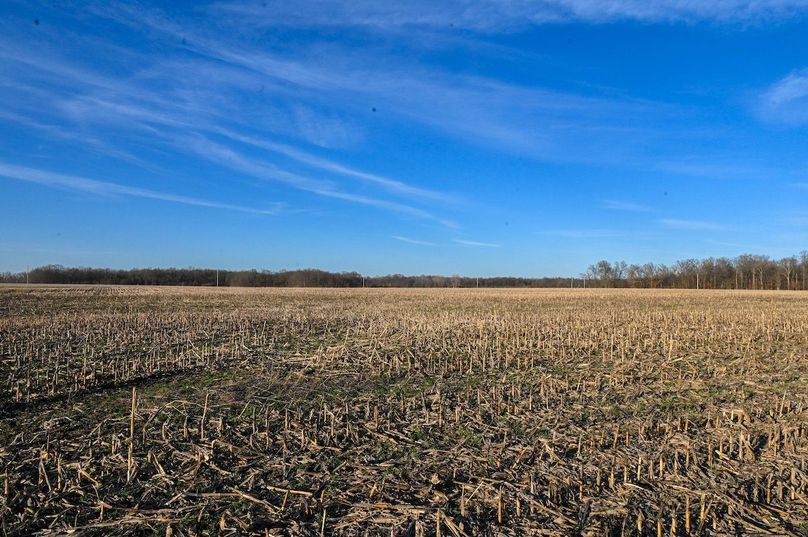 vandalia 450 (2)-2193