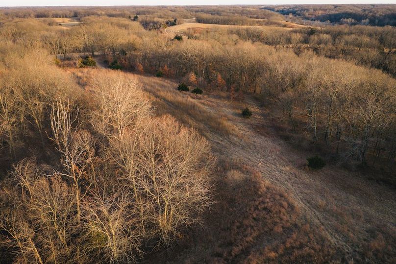 DJI_20260218165852_0681_D