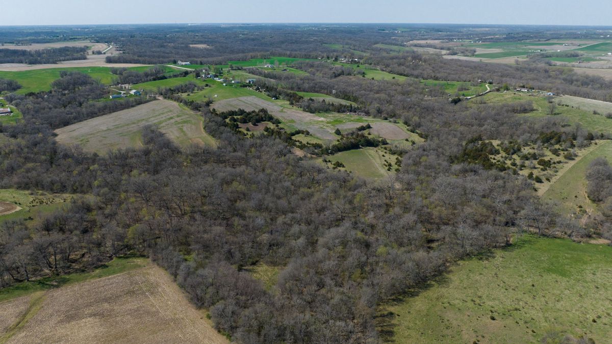 Potent and Compact Whitetail Farm In Southeast Iowa Whitetail Properties