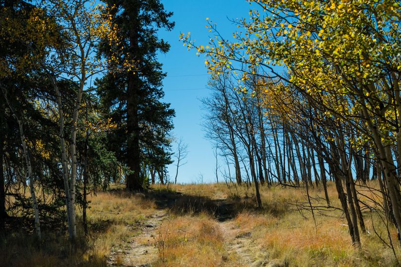 Park Co 35.37 Bowling - 08 Driveway Access 2