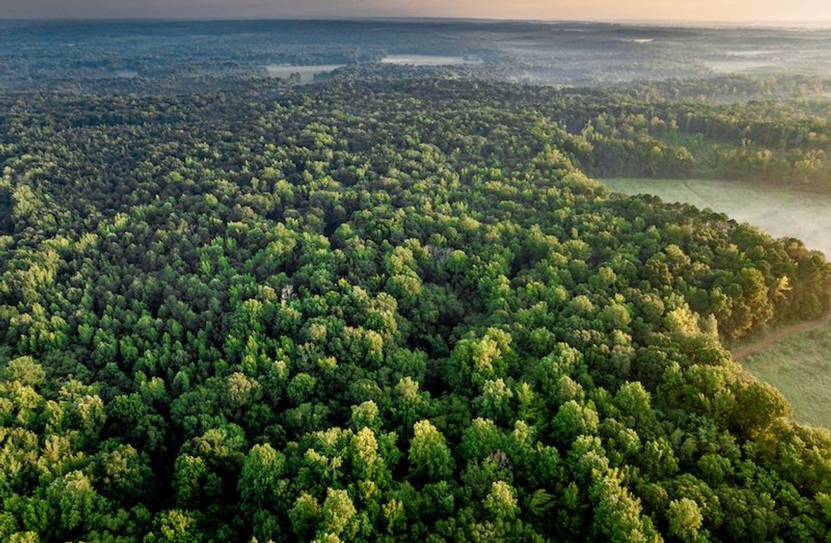 Itawamba 400 Moore-04