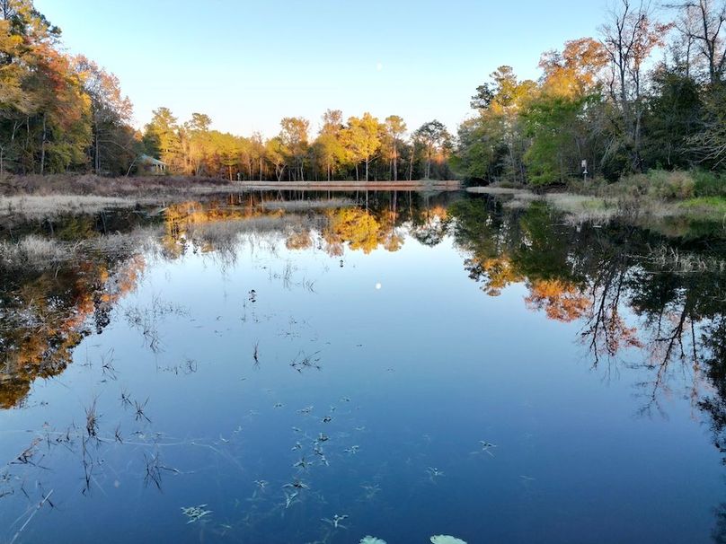 dji_fly_20251103_172730_393_1762260538534_photo