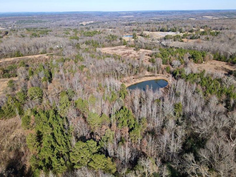 dji_fly_20251130_130630_870_1764615003986_photo